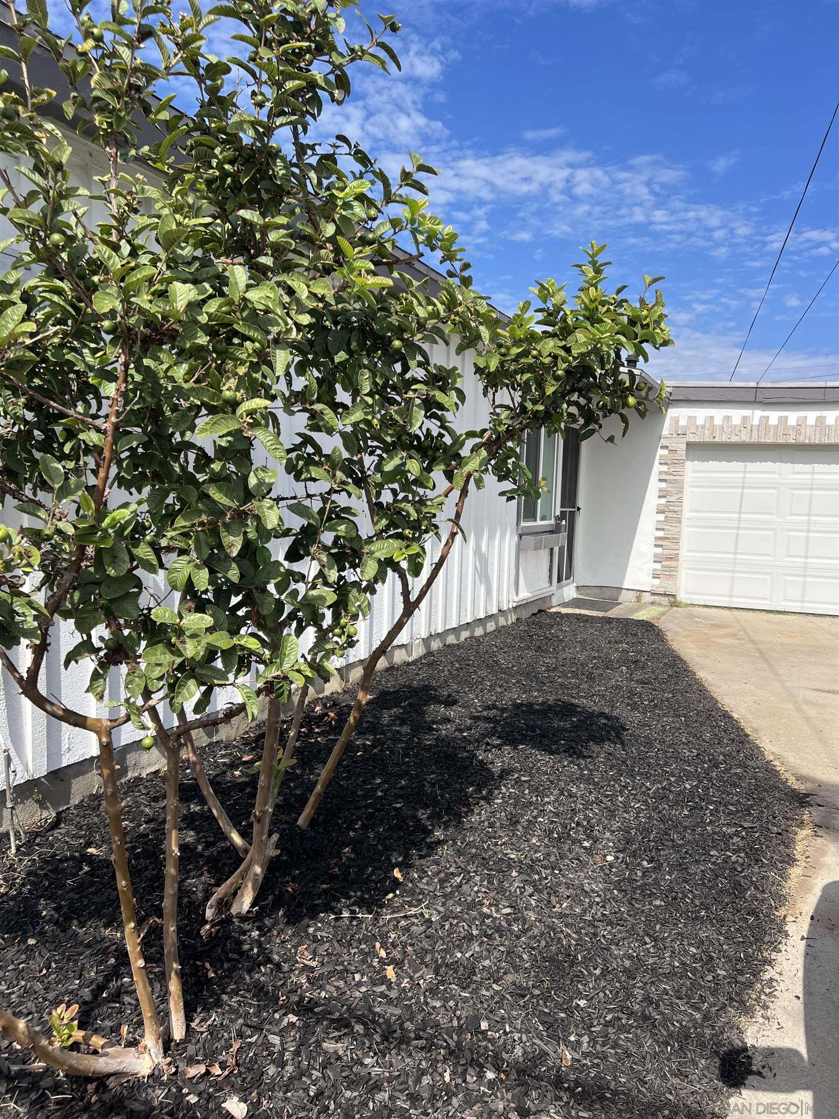 Detail Gallery Image 17 of 18 For 3822  Conrad Ave, San Diego,  CA 92117 - 4 Beds | 2 Baths