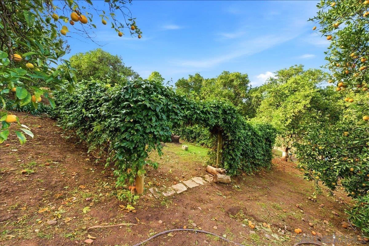 Detail Gallery Image 47 of 75 For 11568  Minneola Cir, Valley Center,  CA 92082 - 4 Beds | 4/1 Baths