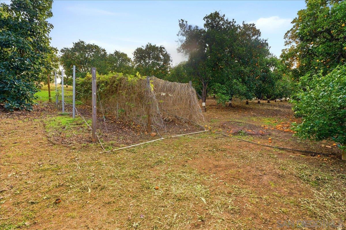 Detail Gallery Image 49 of 75 For 11568  Minneola Cir, Valley Center,  CA 92082 - 4 Beds | 4/1 Baths