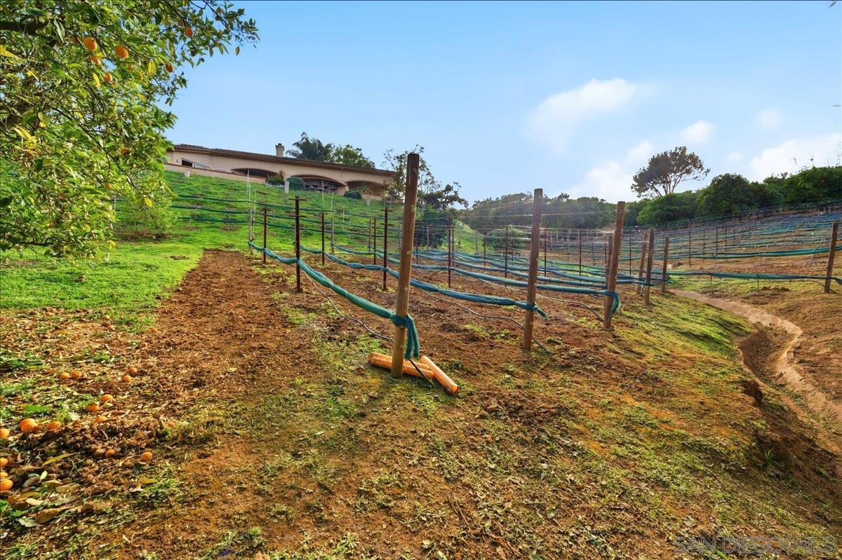 Detail Gallery Image 51 of 75 For 11568  Minneola Cir, Valley Center,  CA 92082 - 4 Beds | 4/1 Baths