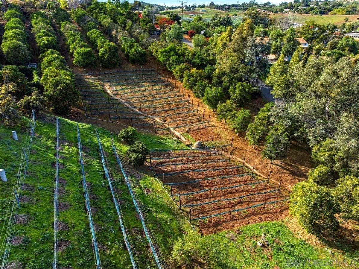 Detail Gallery Image 69 of 75 For 11568  Minneola Cir, Valley Center,  CA 92082 - 4 Beds | 4/1 Baths