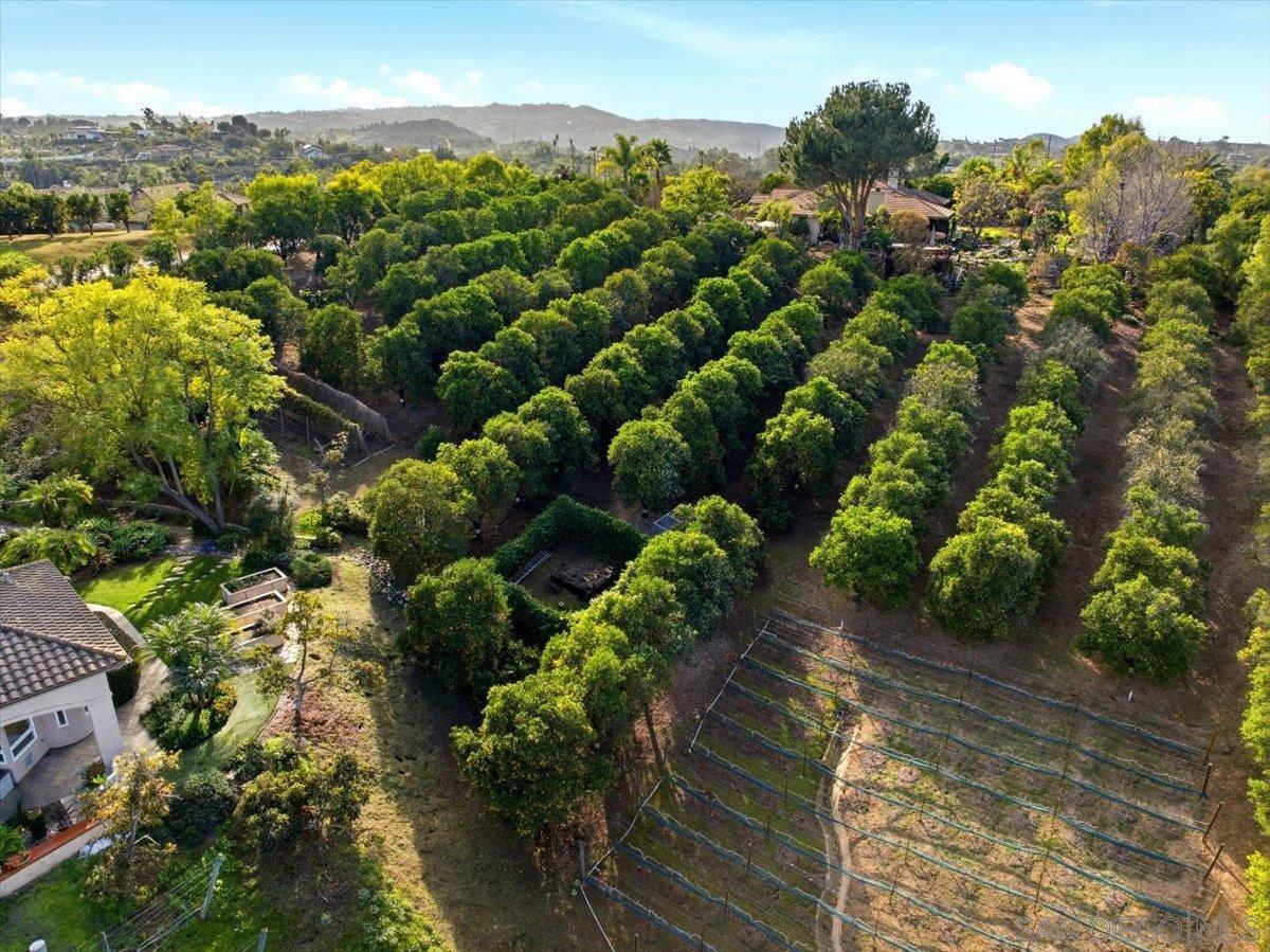 Detail Gallery Image 70 of 75 For 11568  Minneola Cir, Valley Center,  CA 92082 - 4 Beds | 4/1 Baths