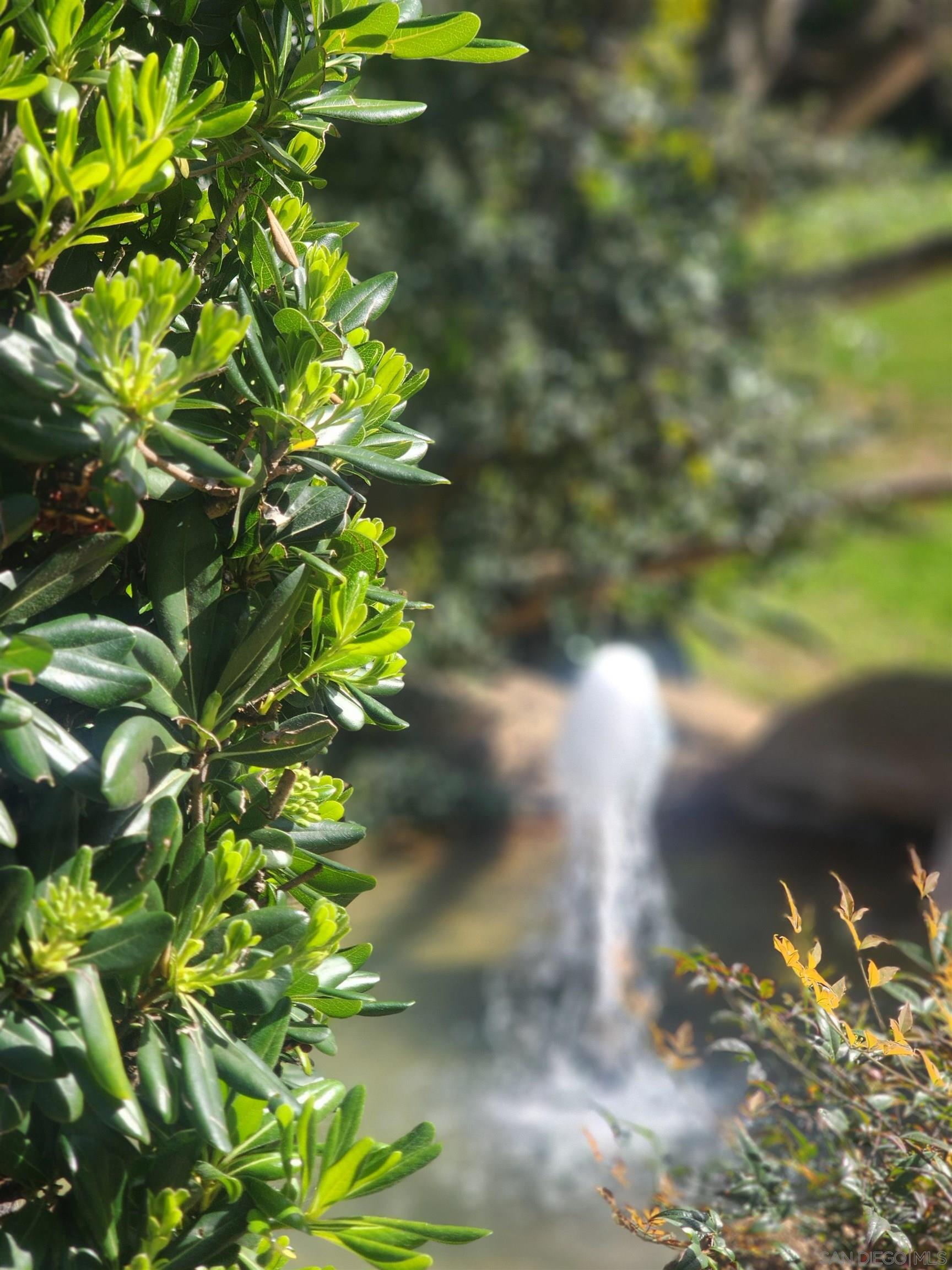 Detail Gallery Image 48 of 68 For 4011  Layang Layang Cir  #F,  Carlsbad,  CA 92008 - 2 Beds | 2/1 Baths