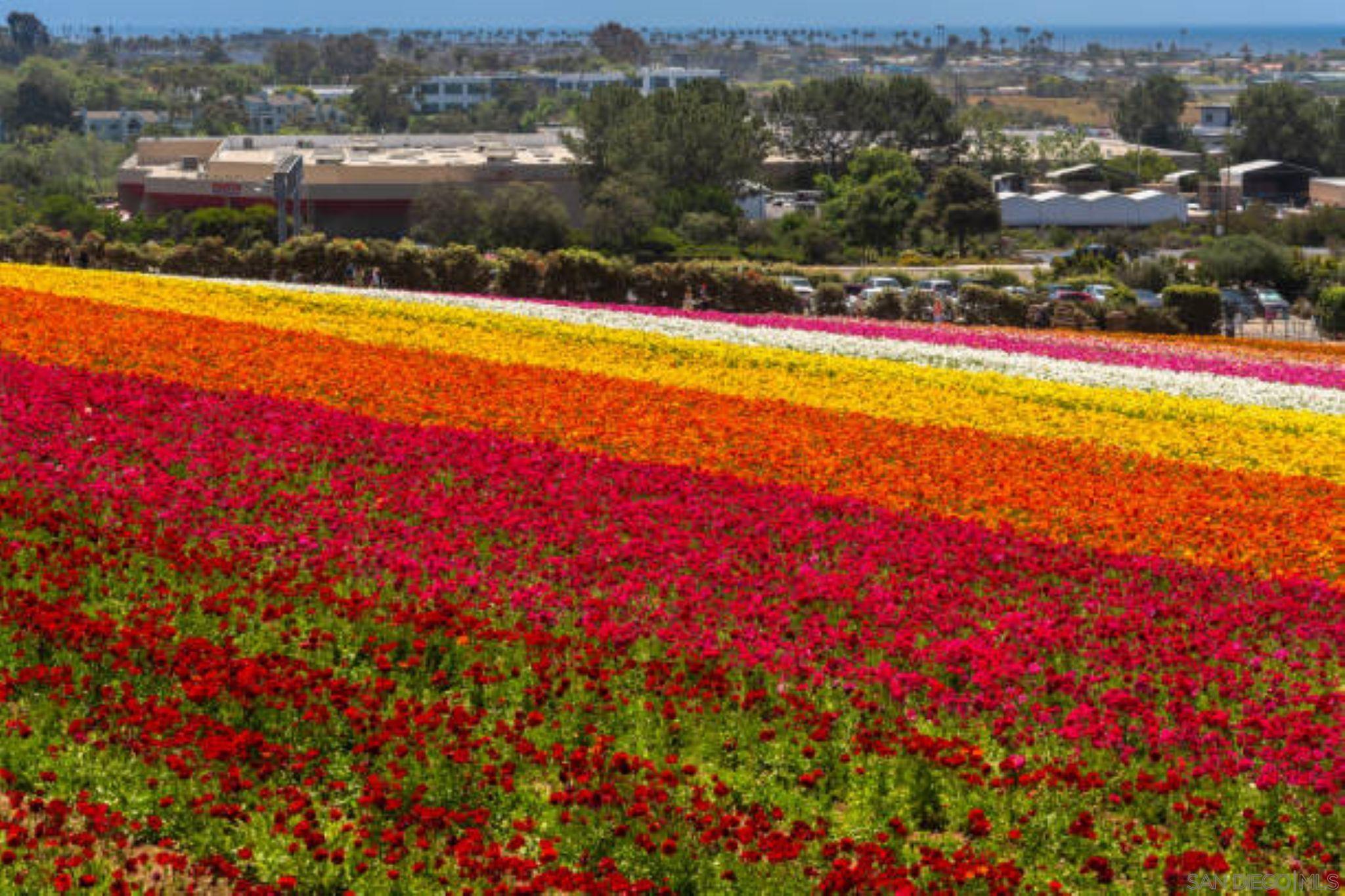 Detail Gallery Image 68 of 68 For 4011  Layang Layang Cir  #F,  Carlsbad,  CA 92008 - 2 Beds | 2/1 Baths
