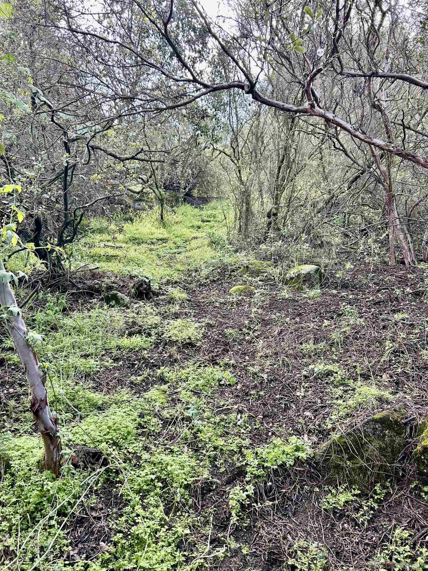 Detail Gallery Image 12 of 75 For 720  Sky Mountain Lane, Alpine,  CA 91901 - 3 Beds | 1/1 Baths