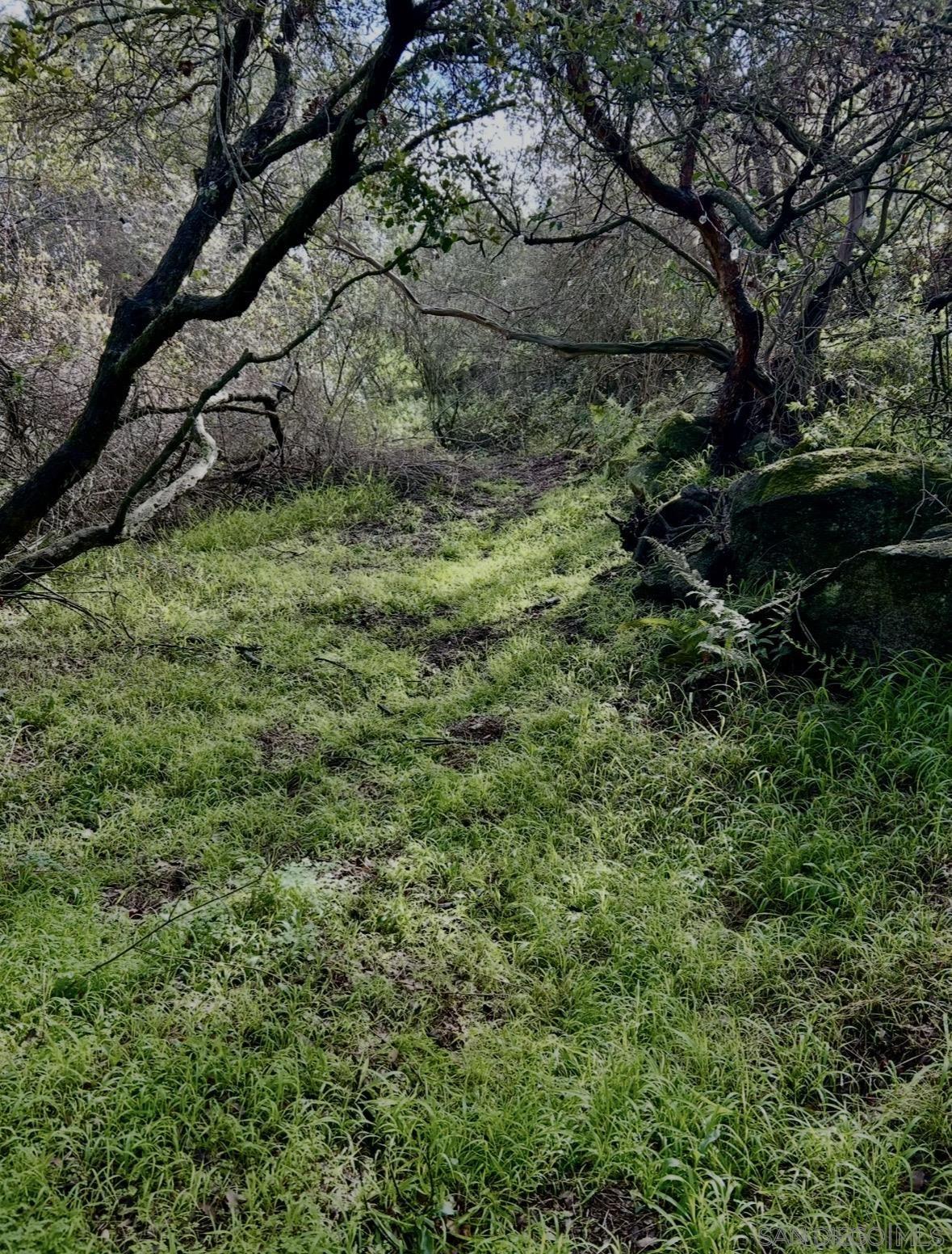 Detail Gallery Image 72 of 75 For 720  Sky Mountain Lane, Alpine,  CA 91901 - 3 Beds | 1/1 Baths
