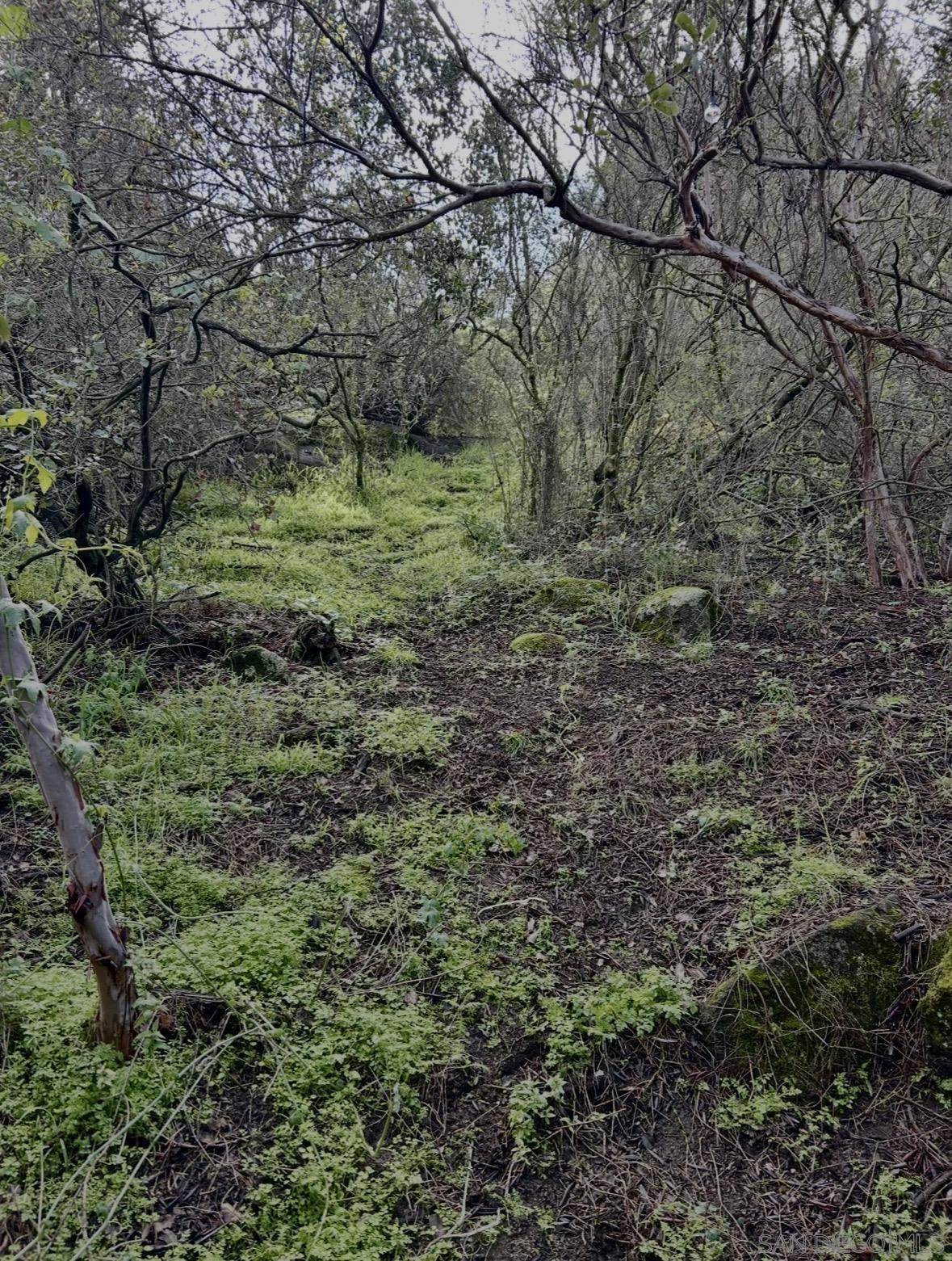 Detail Gallery Image 73 of 75 For 720  Sky Mountain Lane, Alpine,  CA 91901 - 3 Beds | 1/1 Baths