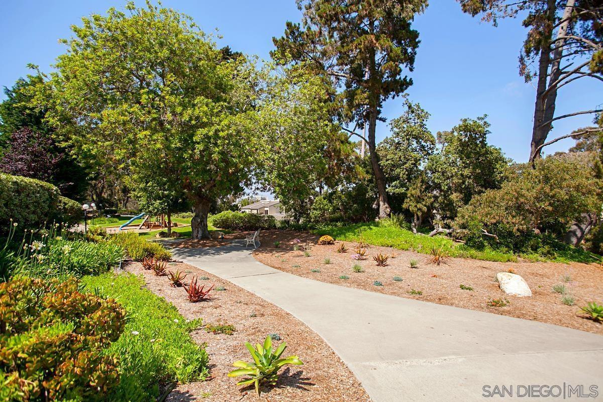 Detail Gallery Image 49 of 54 For 8870  Caminito Primavera, La Jolla,  CA 92037 - 4 Beds | 2/1 Baths