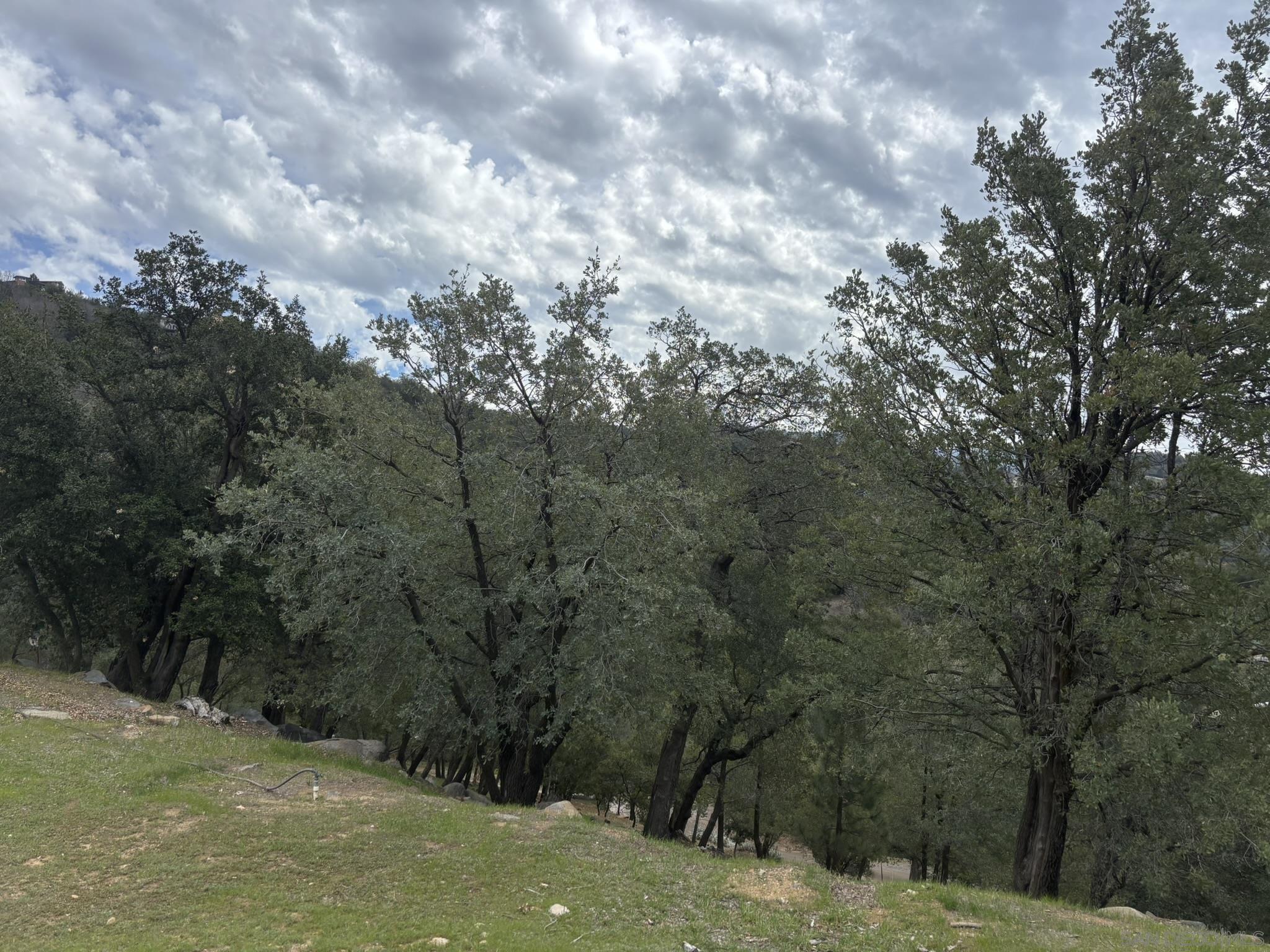 Detail Gallery Image 4 of 19 For , Julian,  CA 92036 - – Beds | – Baths