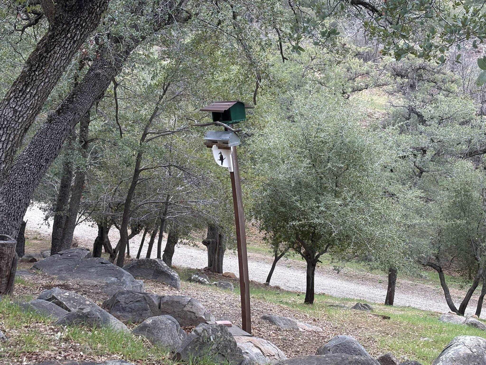 Detail Gallery Image 6 of 19 For , Julian,  CA 92036 - – Beds | – Baths