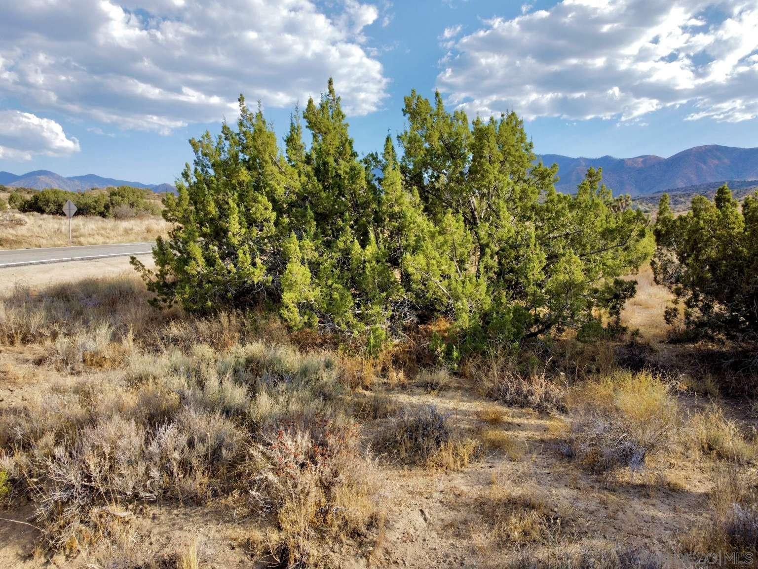 Detail Gallery Image 13 of 45 For , Littlerock,  CA 93543 - – Beds | – Baths