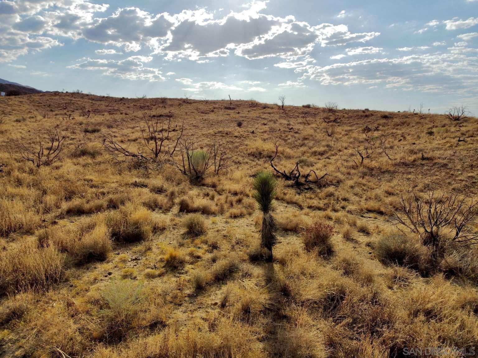 Detail Gallery Image 16 of 45 For , Littlerock,  CA 93543 - – Beds | – Baths