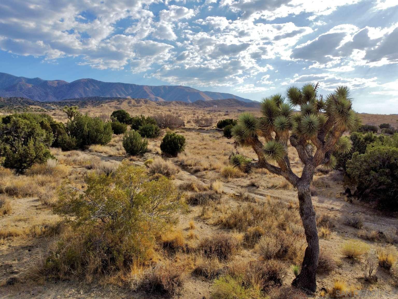 Detail Gallery Image 6 of 45 For , Littlerock,  CA 93543 - – Beds | – Baths