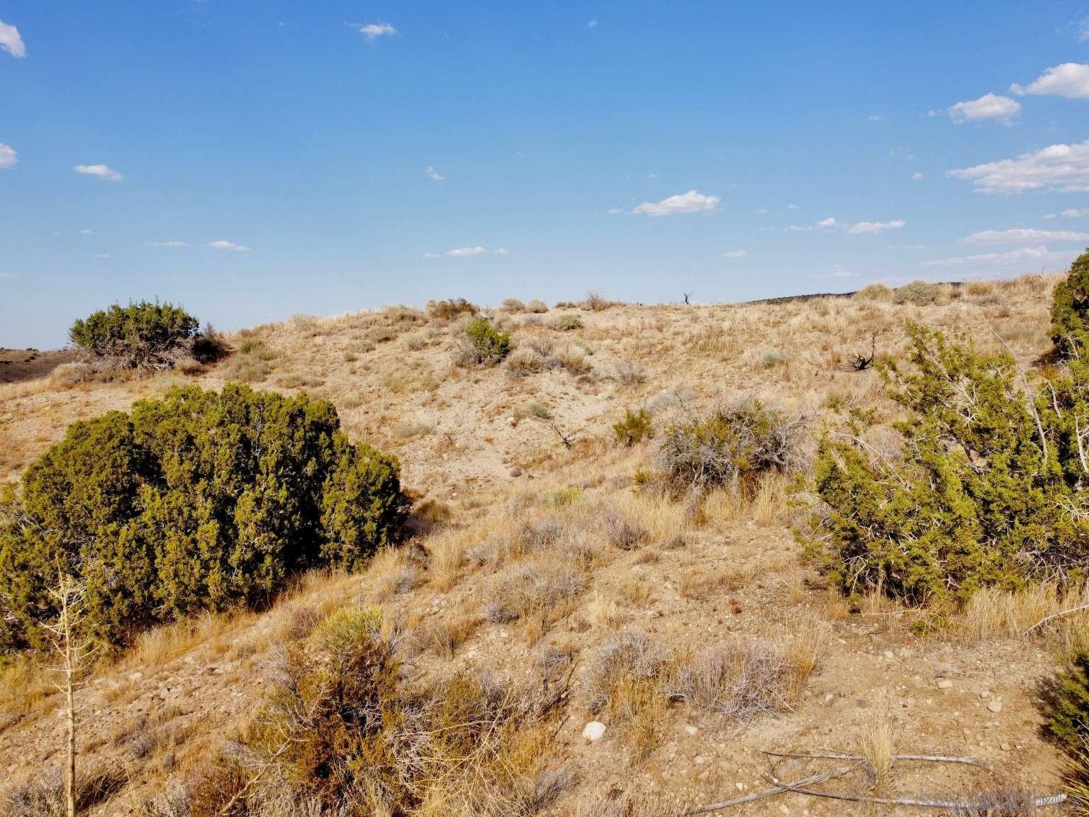 Detail Gallery Image 8 of 45 For , Littlerock,  CA 93543 - – Beds | – Baths