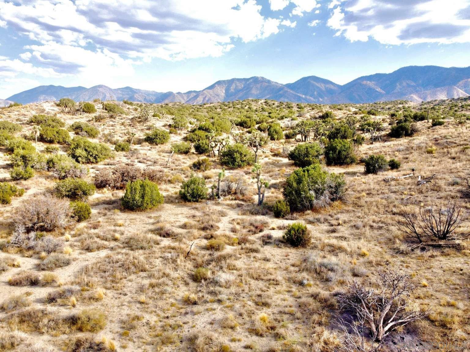 Detail Gallery Image 12 of 45 For , Littlerock,  CA 93543 - – Beds | – Baths