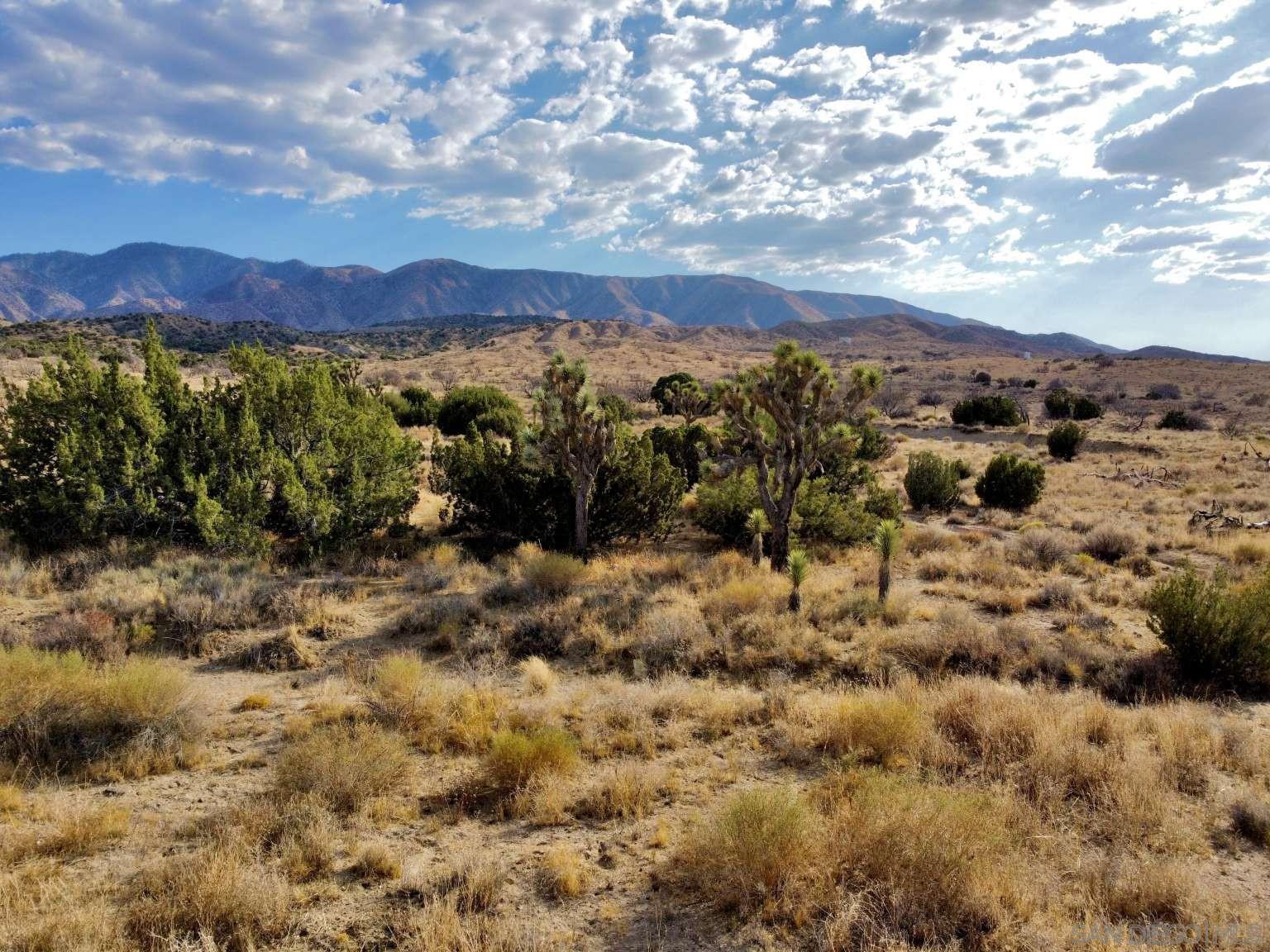 Detail Gallery Image 10 of 45 For , Littlerock,  CA 93543 - – Beds | – Baths