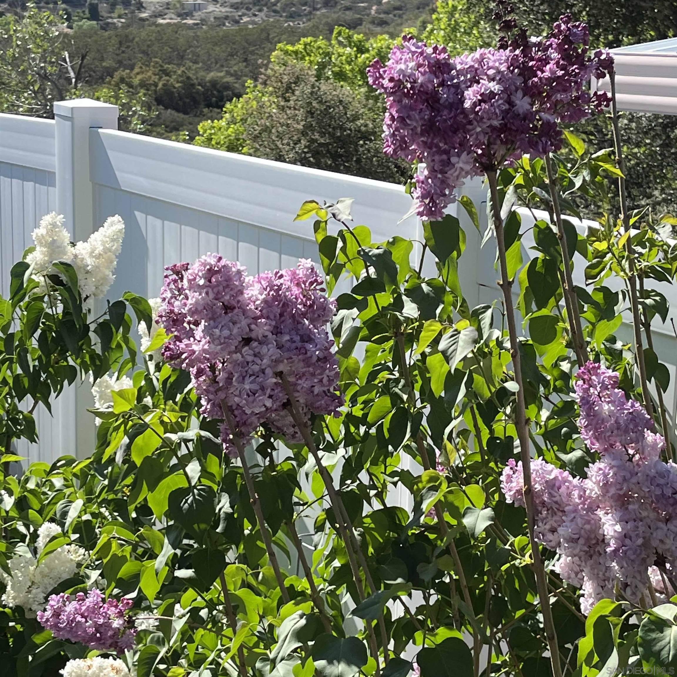 Detail Gallery Image 22 of 38 For 35109  Highway 79  Space/Unit #32,  Warner Springs,  CA 92086 - 2 Beds | 2 Baths