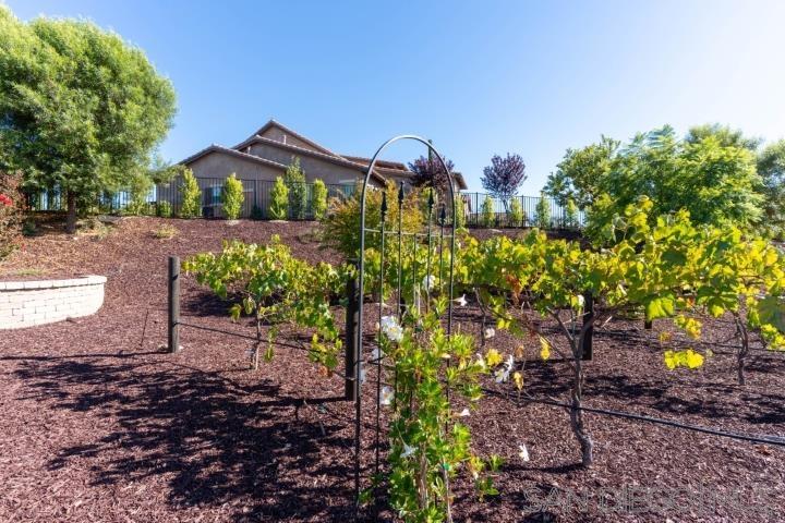 Detail Gallery Image 53 of 57 For 41770  Knoll Vista Lane, Temecula,  CA 92592 - 4 Beds | 4/1 Baths