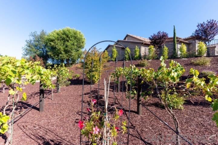 Detail Gallery Image 54 of 57 For 41770  Knoll Vista Lane, Temecula,  CA 92592 - 4 Beds | 4/1 Baths