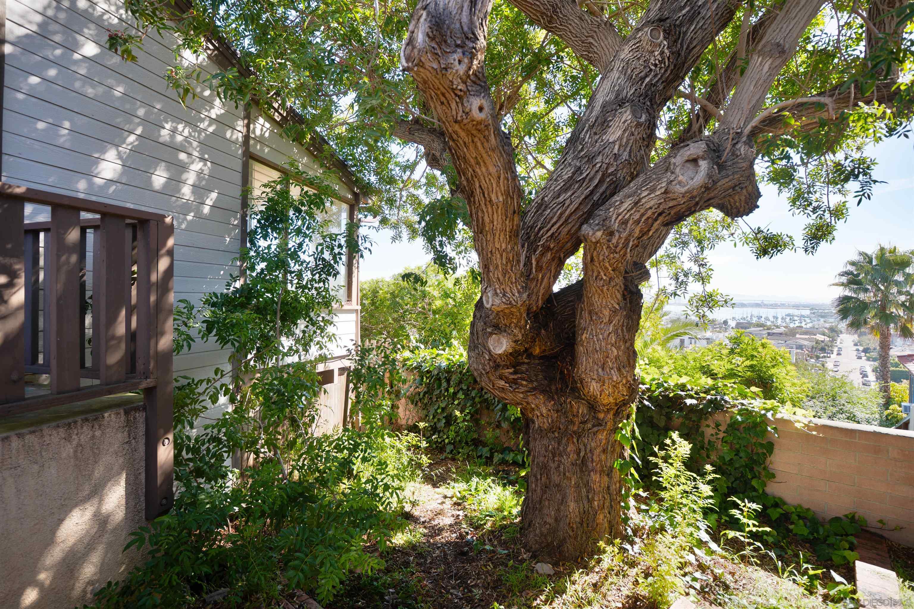 Detail Gallery Image 30 of 32 For 1341  Plum St, San Diego,  CA 92106 - 5 Beds | 3/1 Baths