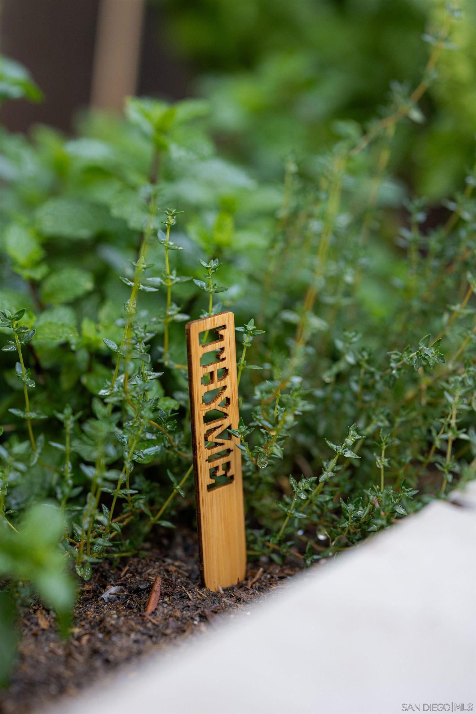 Detail Gallery Image 42 of 44 For 3612  Polk Avenue, San Diego,  CA 92104 - 3 Beds | 1 Baths