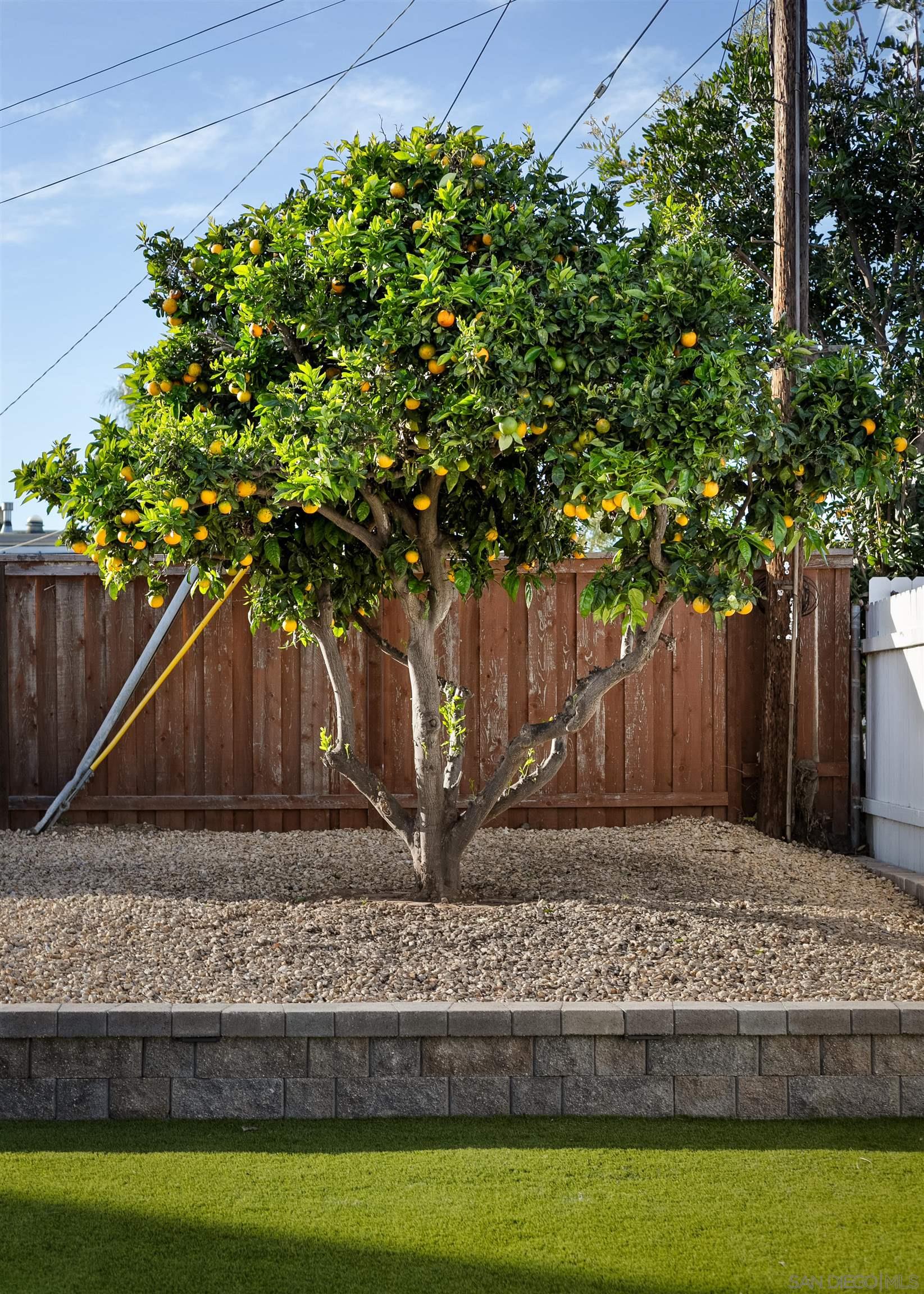 Detail Gallery Image 32 of 32 For 1412  Frankfort St, San Diego,  CA 92110 - 3 Beds | 2 Baths