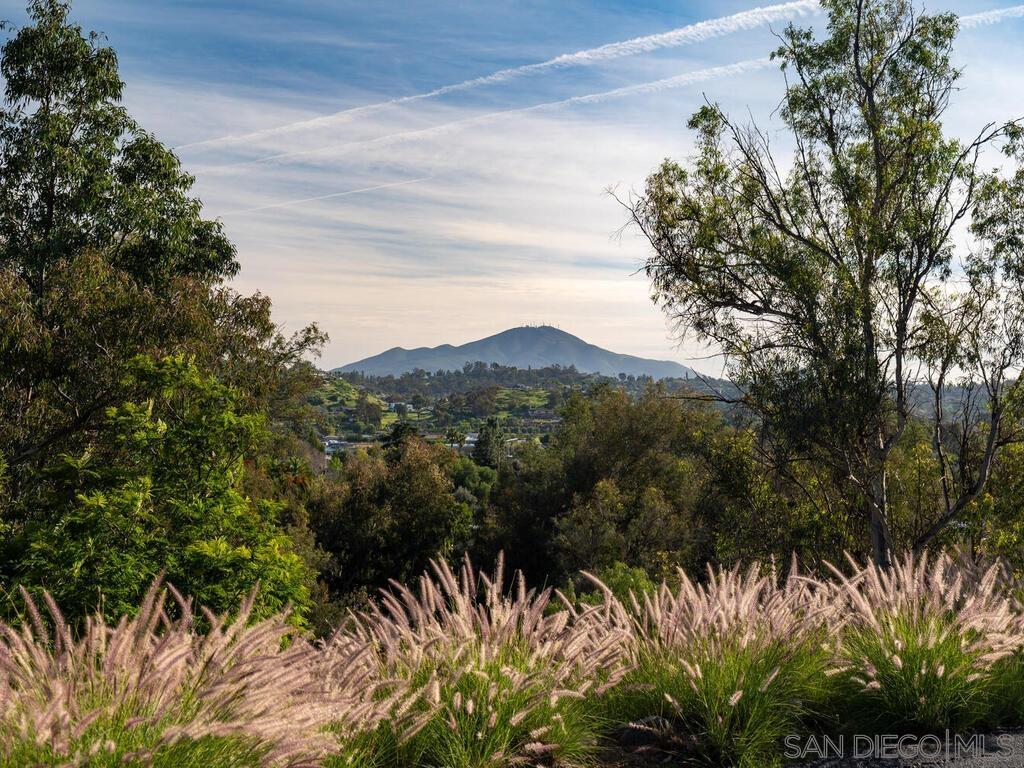 Detail Gallery Image 48 of 74 For 920  Sycamore, El Cajon,  CA 92019 - 4 Beds | 3 Baths