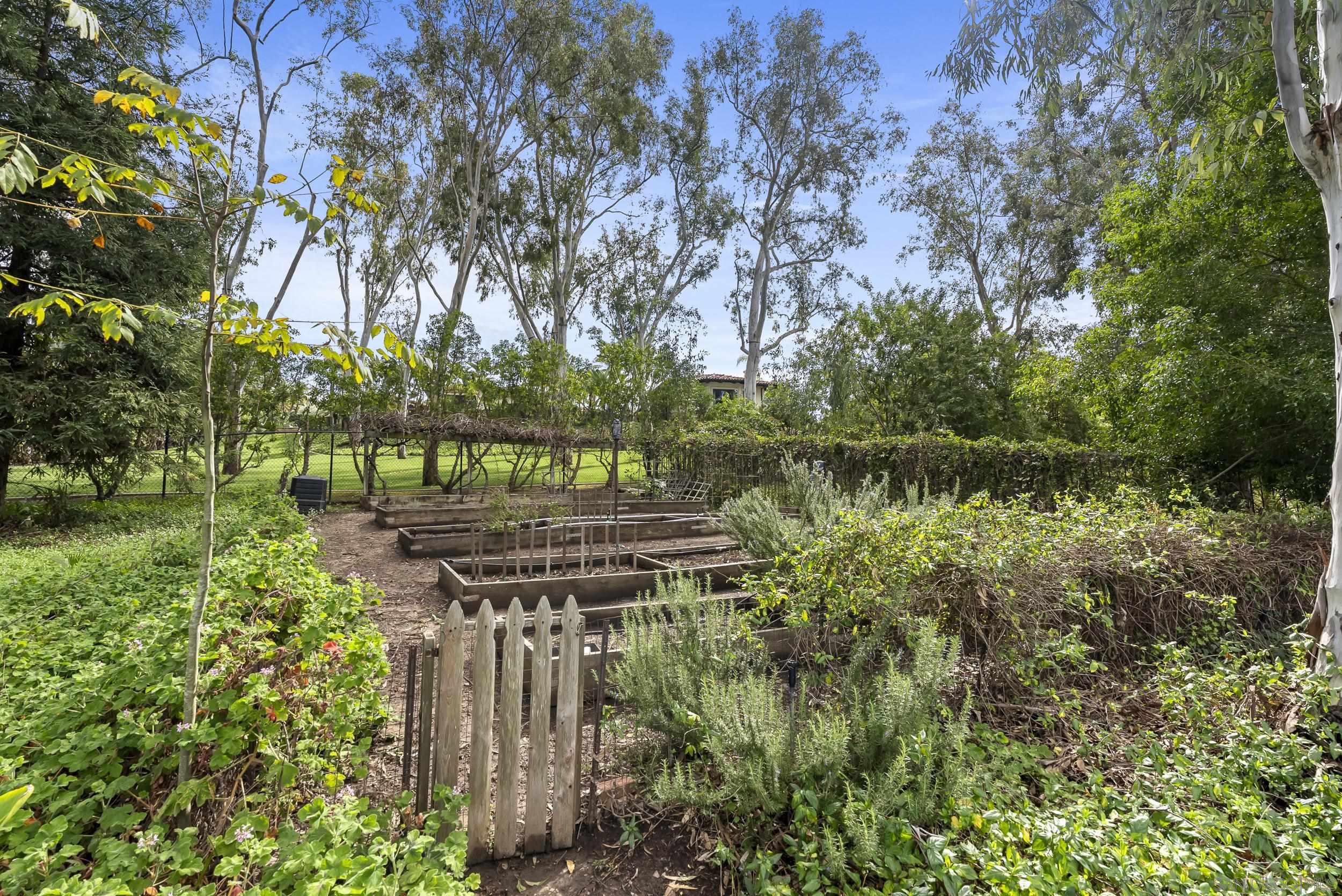 Detail Gallery Image 36 of 57 For 17307  Calle Mayor, Rancho Santa Fe,  CA 92067 - 6 Beds | 5/1 Baths