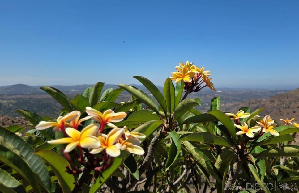 Front Image Thumbnail for SD260004428