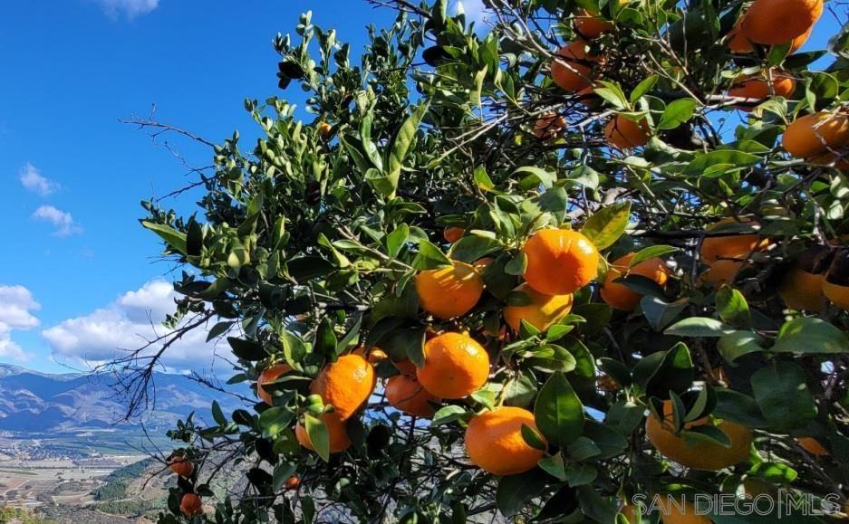 Detail Gallery Image 57 of 59 For 13155  Mcnally Road, Valley Center,  CA 92082 - 2 Beds | 2 Baths