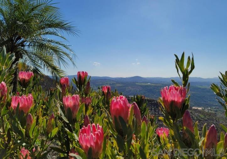 Detail Gallery Image 59 of 70 For 13155  Mcnally Road, Valley Center,  CA 92082 - 2 Beds | 2 Baths