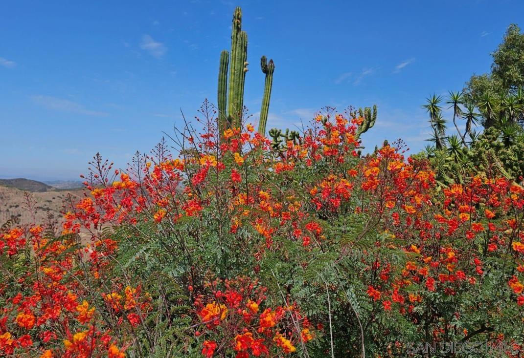 Detail Gallery Image 60 of 70 For 13155  Mcnally Road, Valley Center,  CA 92082 - 2 Beds | 2 Baths