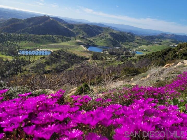 Detail Gallery Image 63 of 70 For 13155  Mcnally Road, Valley Center,  CA 92082 - 2 Beds | 2 Baths