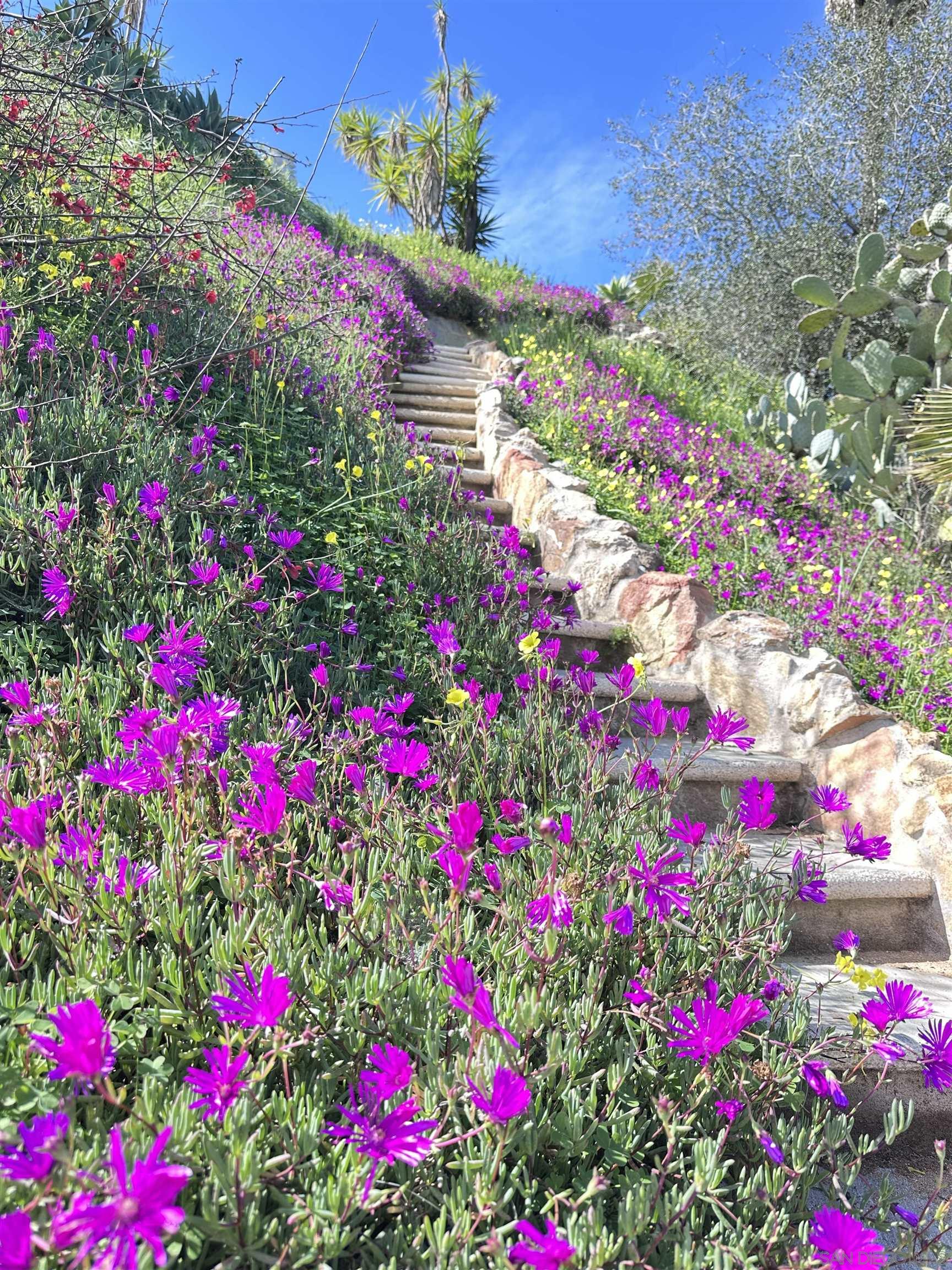 Detail Gallery Image 68 of 70 For 13155  Mcnally Road, Valley Center,  CA 92082 - 2 Beds | 2 Baths