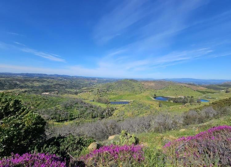 Detail Gallery Image 69 of 70 For 13155  Mcnally Road, Valley Center,  CA 92082 - 2 Beds | 2 Baths