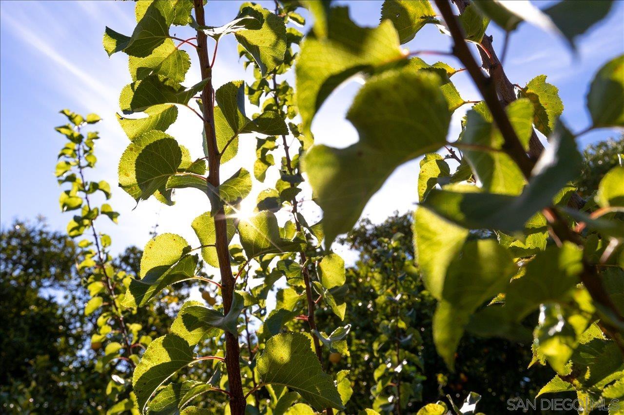 Detail Gallery Image 40 of 49 For 1109  via La Cuesta, Escondido,  CA 92029 - 4 Beds | 2 Baths