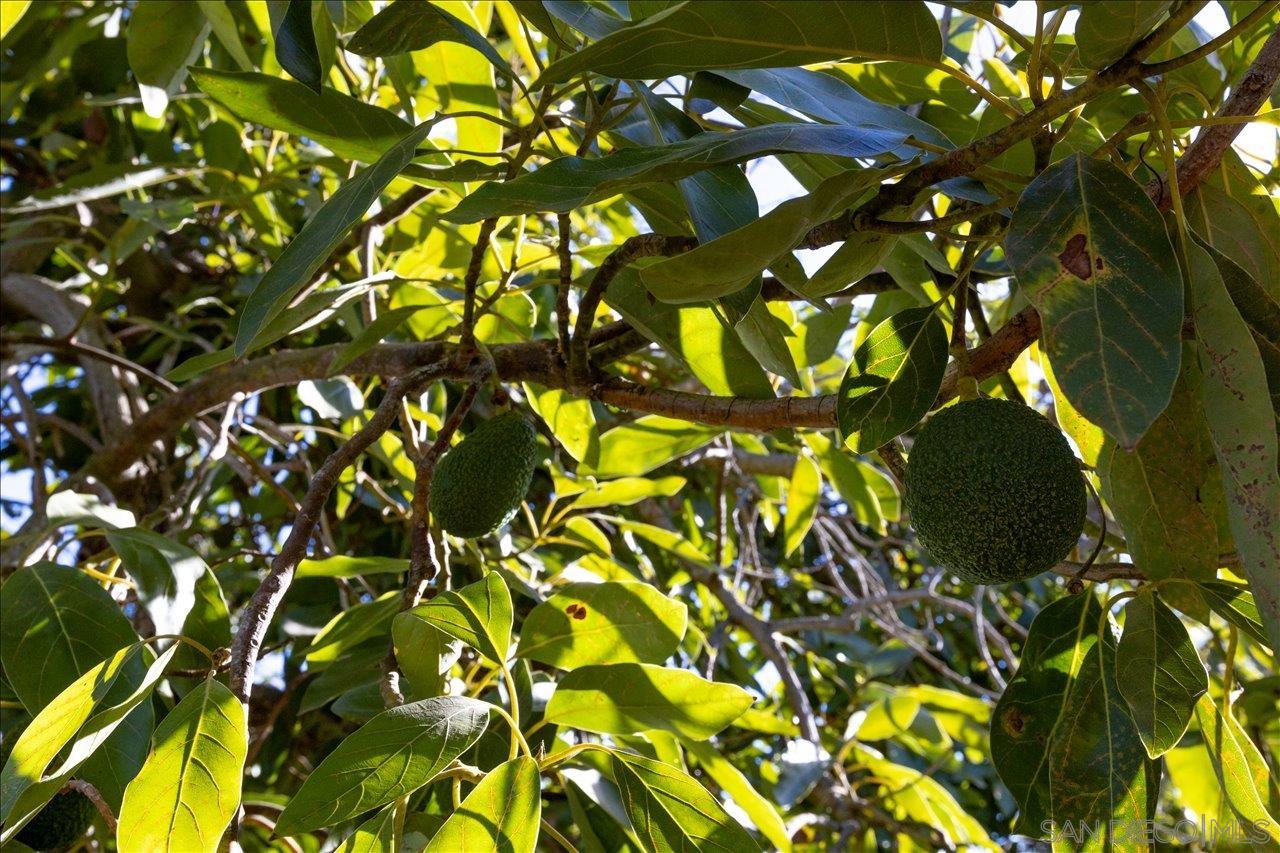 Detail Gallery Image 42 of 49 For 1109  via La Cuesta, Escondido,  CA 92029 - 4 Beds | 2 Baths