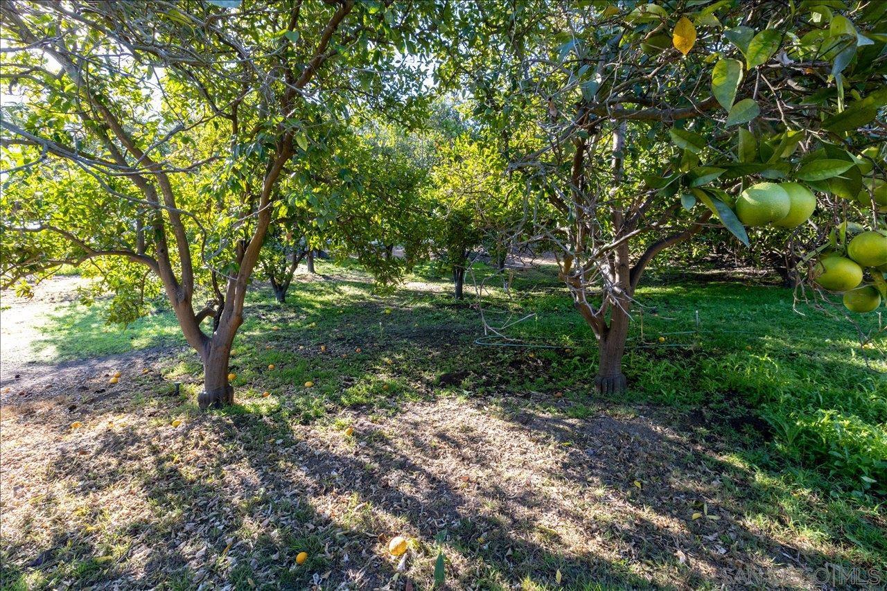 Detail Gallery Image 43 of 49 For 1109  via La Cuesta, Escondido,  CA 92029 - 4 Beds | 2 Baths