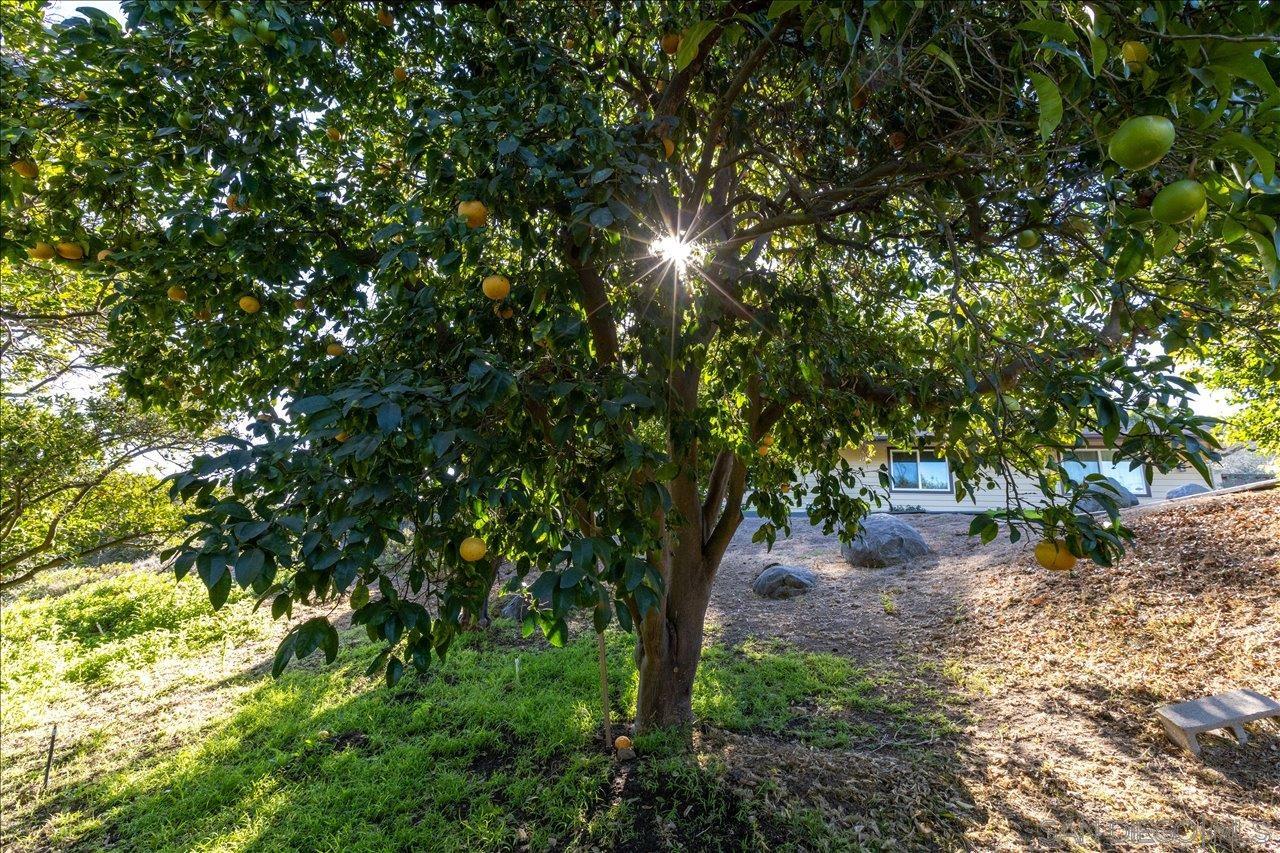 Detail Gallery Image 44 of 49 For 1109  via La Cuesta, Escondido,  CA 92029 - 4 Beds | 2 Baths