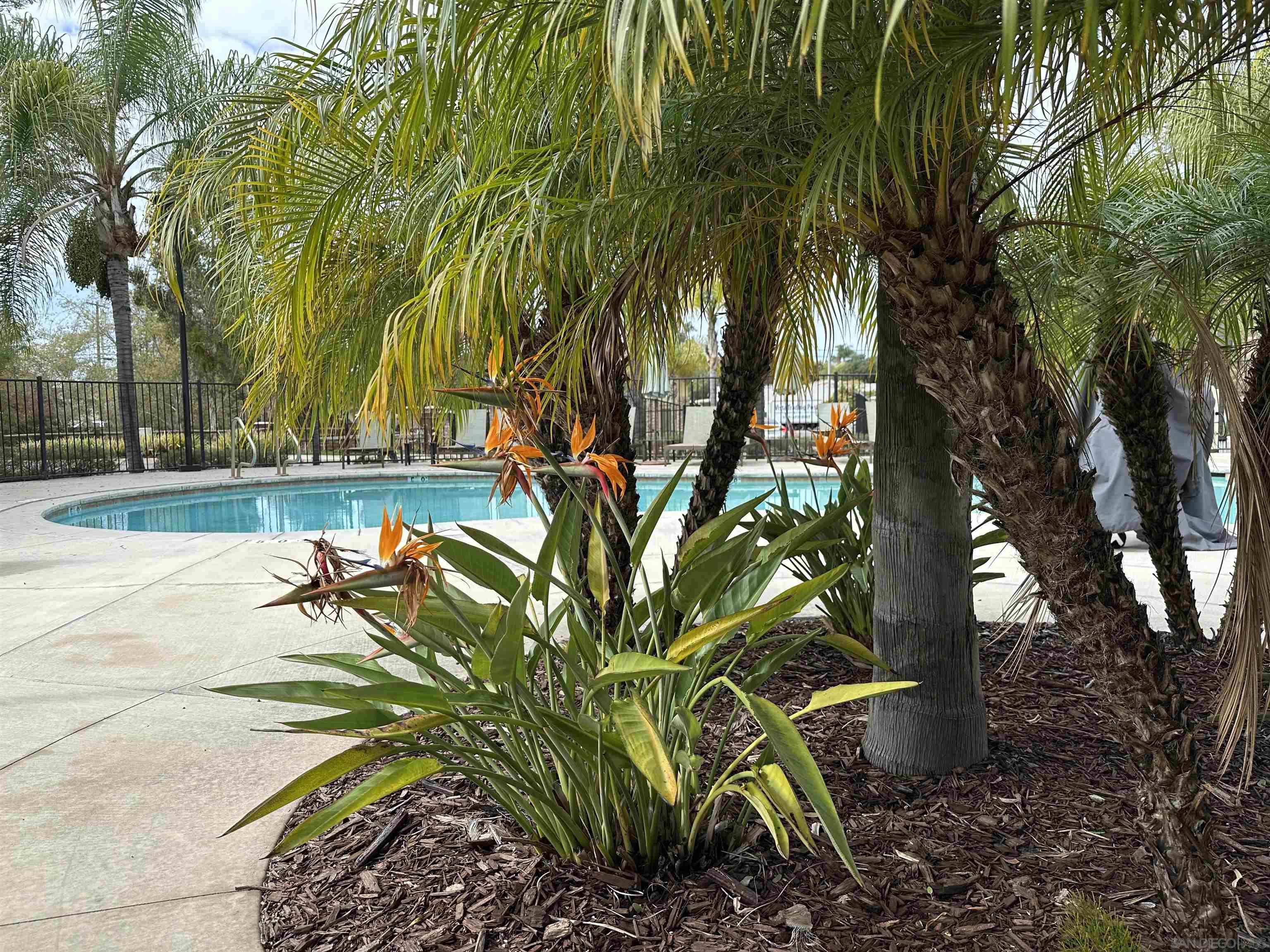 Detail Gallery Image 23 of 27 For 2076  Blue Oak Lane, Vista,  CA 92084 - 3 Beds | 2/1 Baths