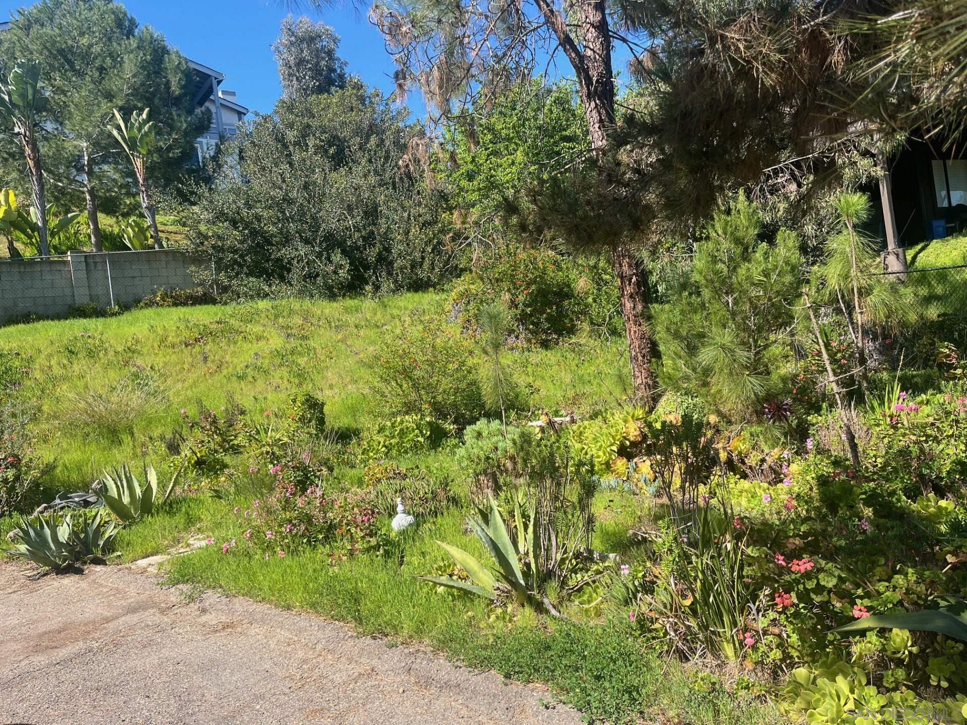 Detail Gallery Image 5 of 6 For 5628  Desert View Drive, La Jolla,  CA 92037 - 3 Beds | 2/1 Baths