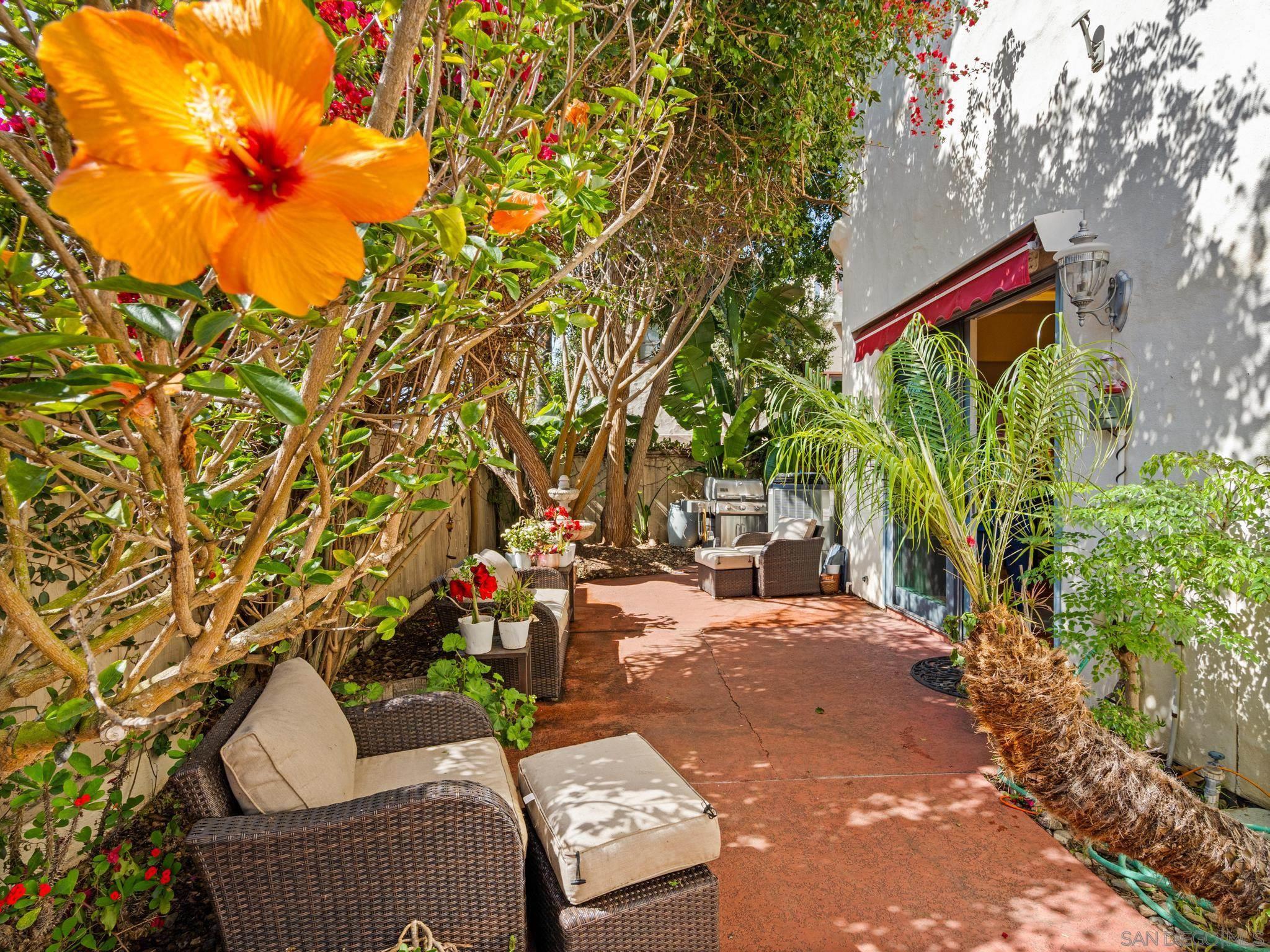 Detail Gallery Image 25 of 67 For 7337  Draper Ave, La Jolla,  CA 92037 - 3 Beds | 3 Baths