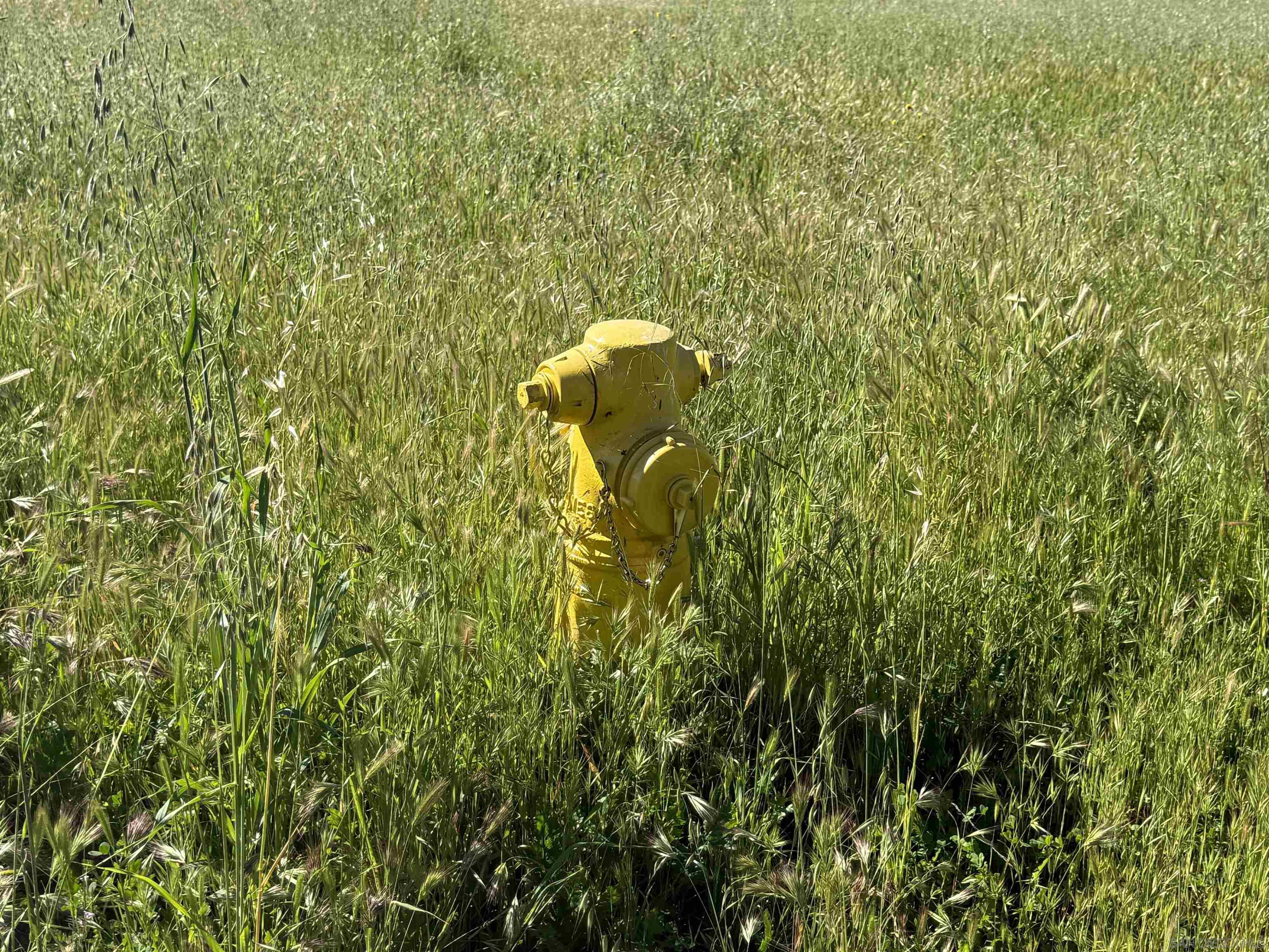 Detail Gallery Image 4 of 4 For , Pauma Valley,  CA 92061 - – Beds | – Baths