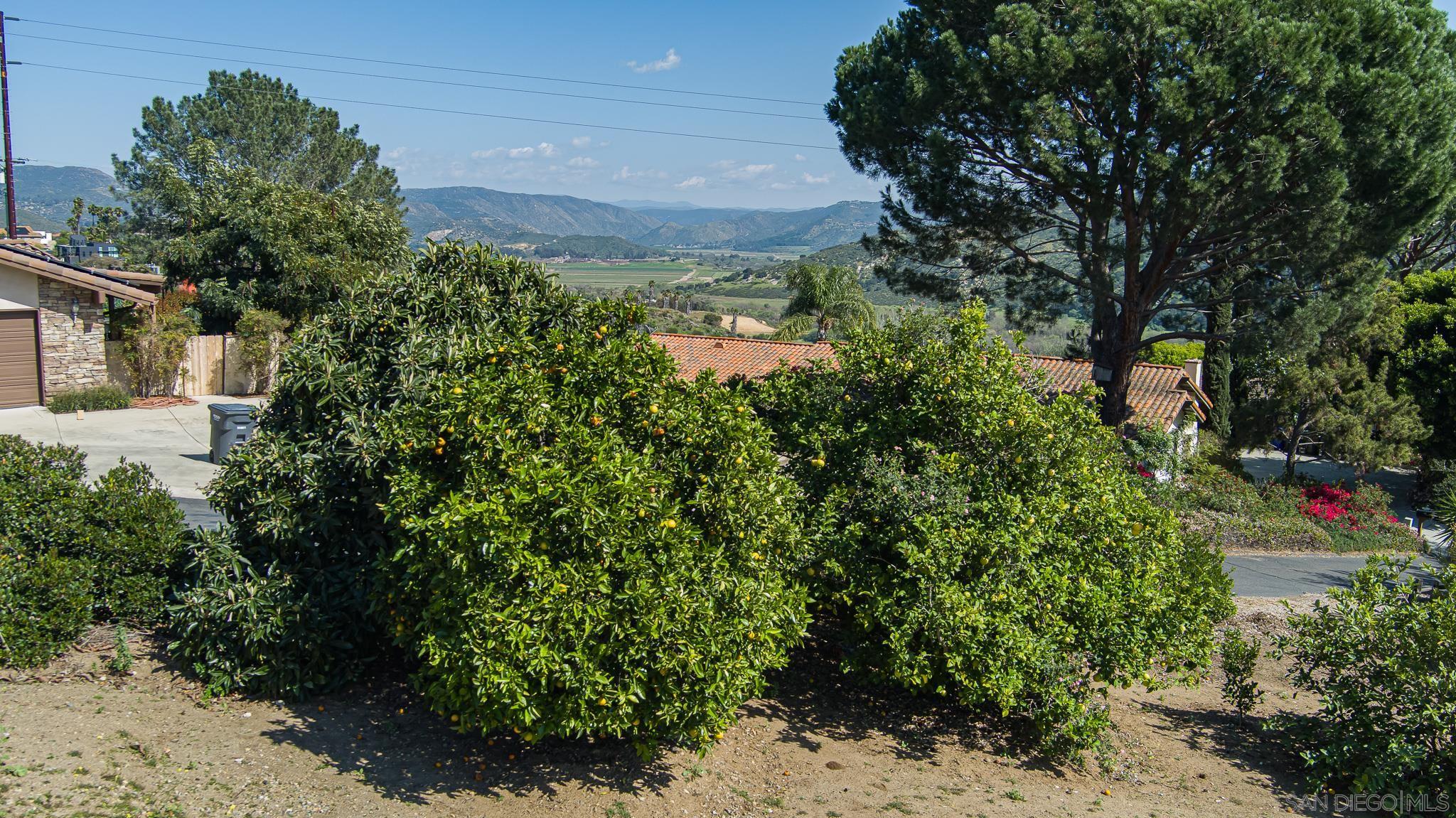 Detail Gallery Image 19 of 67 For 2871  Anaheim St, Escondido,  CA 92025 - 3 Beds | 2/1 Baths