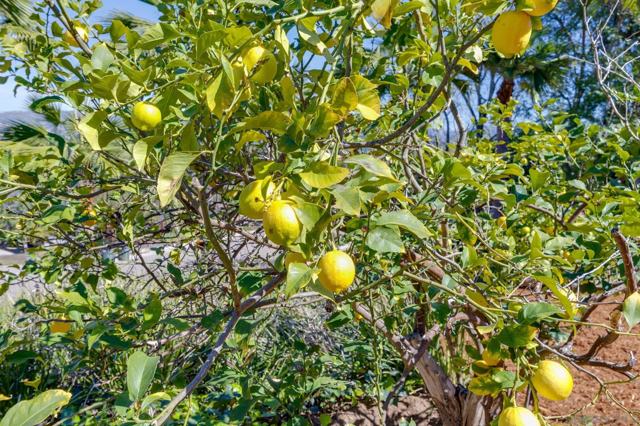 Detail Gallery Image 45 of 63 For 11205  Constellation Dr, El Cajon,  CA 92020 - 3 Beds | 2 Baths