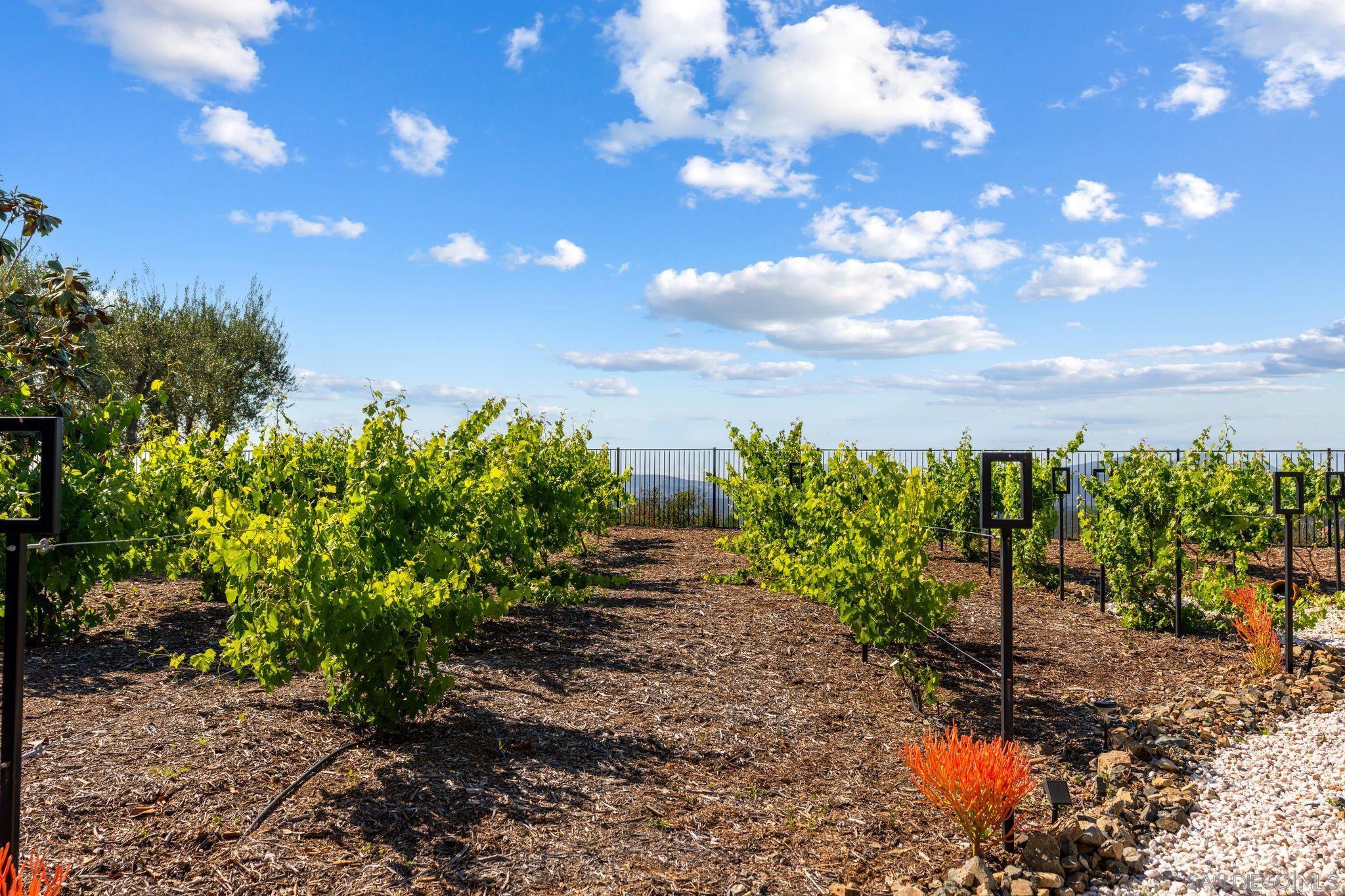 Detail Gallery Image 22 of 34 For 18264  Avenida Manantial, Rancho Santa Fe,  CA 92067 - 5 Beds | 5/2 Baths