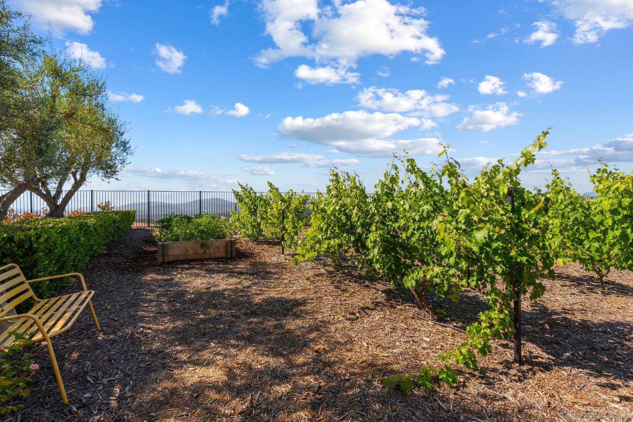 Detail Gallery Image 29 of 34 For 18264  Avenida Manantial, Rancho Santa Fe,  CA 92067 - 5 Beds | 5/2 Baths
