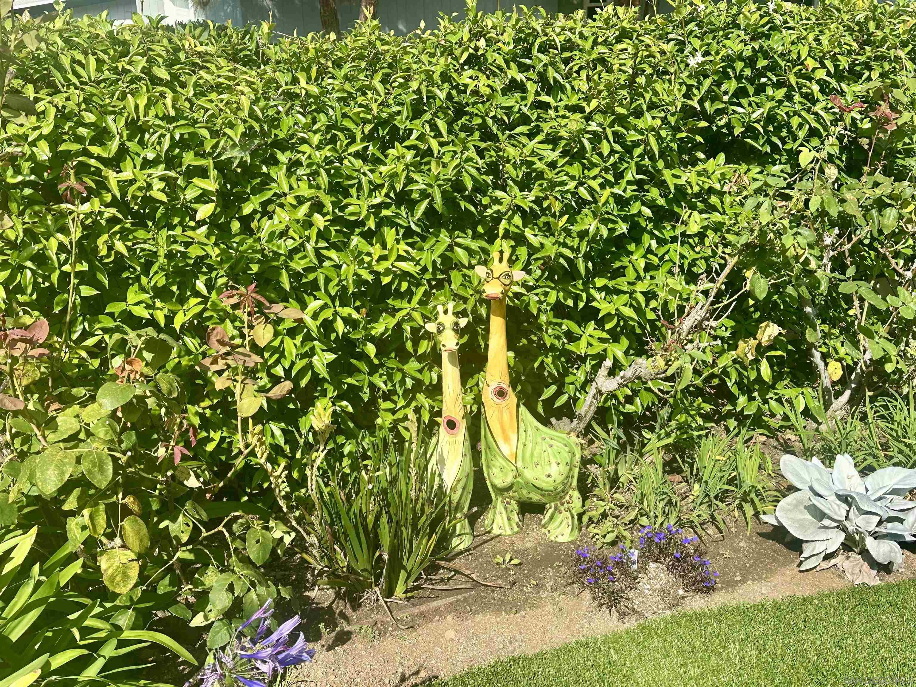 Detail Gallery Image 29 of 31 For 5741  Chelsea Ave, La Jolla,  CA 92037 - 3 Beds | 2 Baths