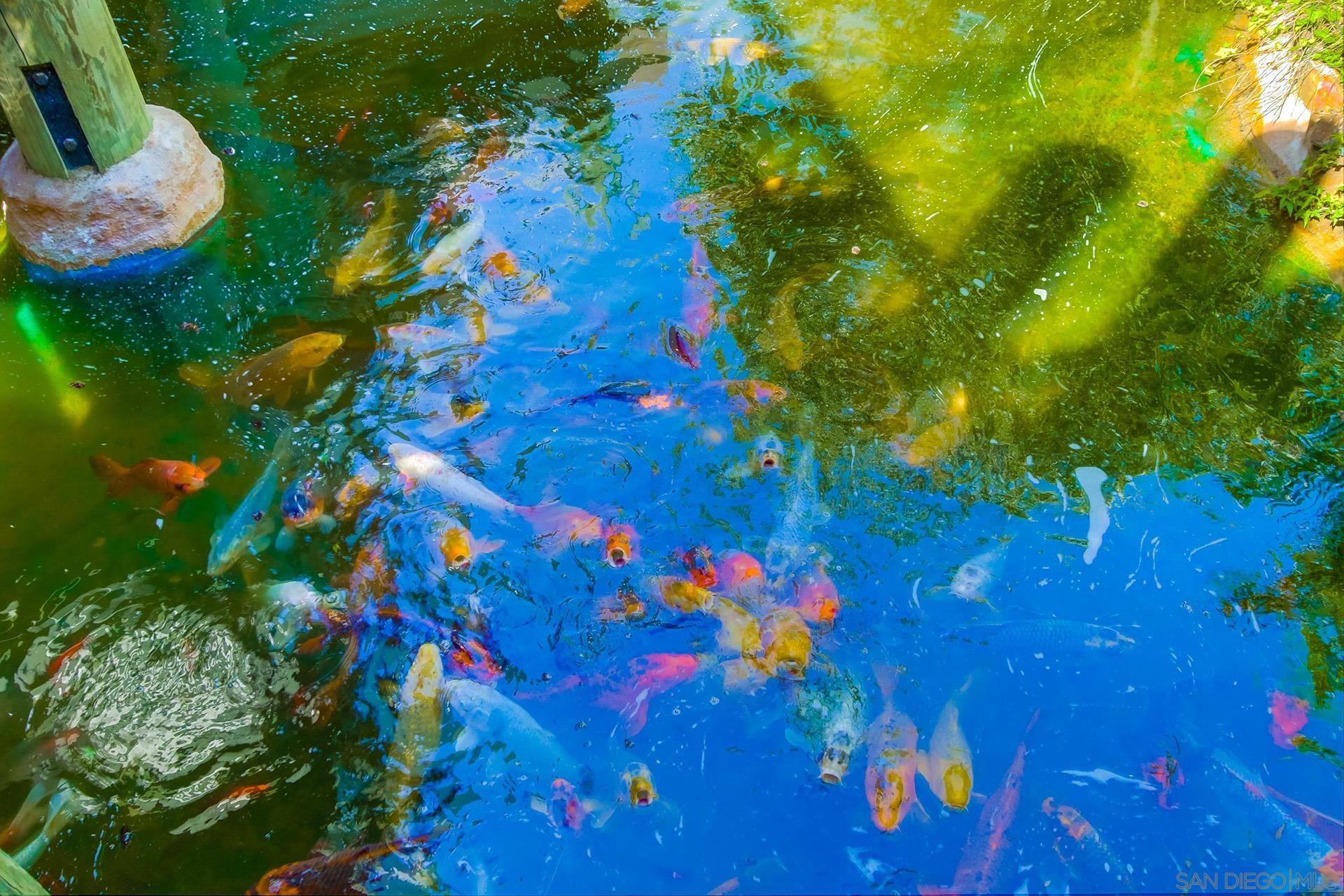 Detail Gallery Image 22 of 45 For 999 N Pacific St  #D011,  Oceanside,  CA 92054 - 1 Beds | 1 Baths