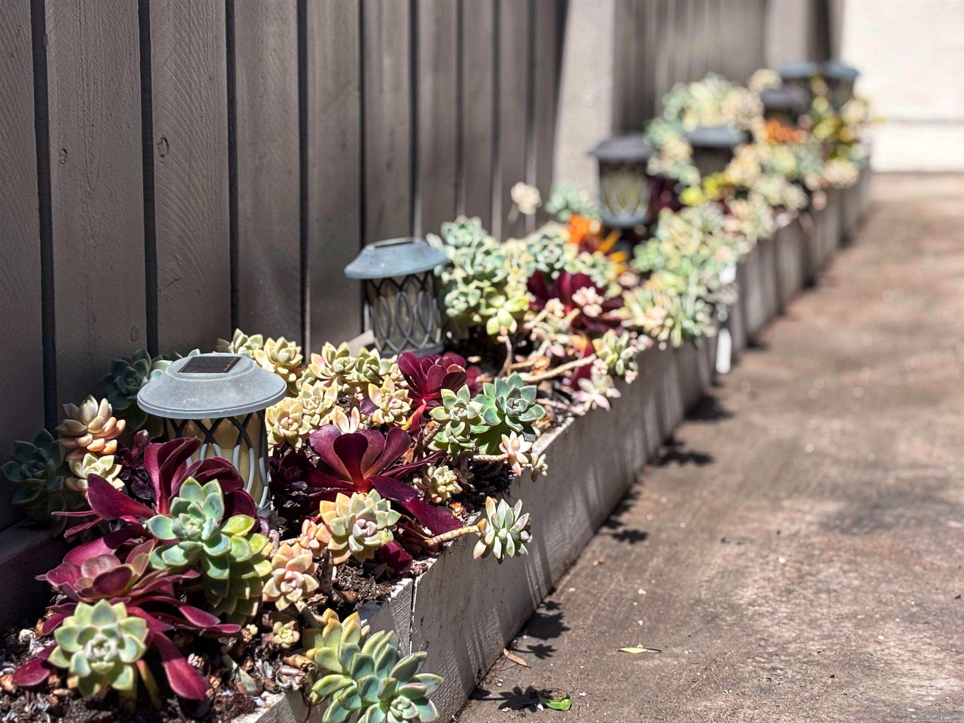 Detail Gallery Image 30 of 41 For 4062  Mount Acadia, San Diego,  CA 92111 - 2 Beds | 1/1 Baths